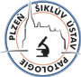 Logo - iklv stav patologie
